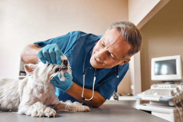 Best After-Hours Emergency Dentist in Keys, OK
