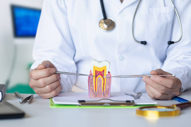 Best Emergency Dental Care for Trauma or Injury in Keys, OK